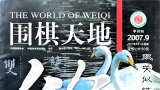 《围棋天地（2007年第09期）》（超清版PDF）