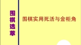 《围棋实用死活与金柜角》（重排版超清PDF