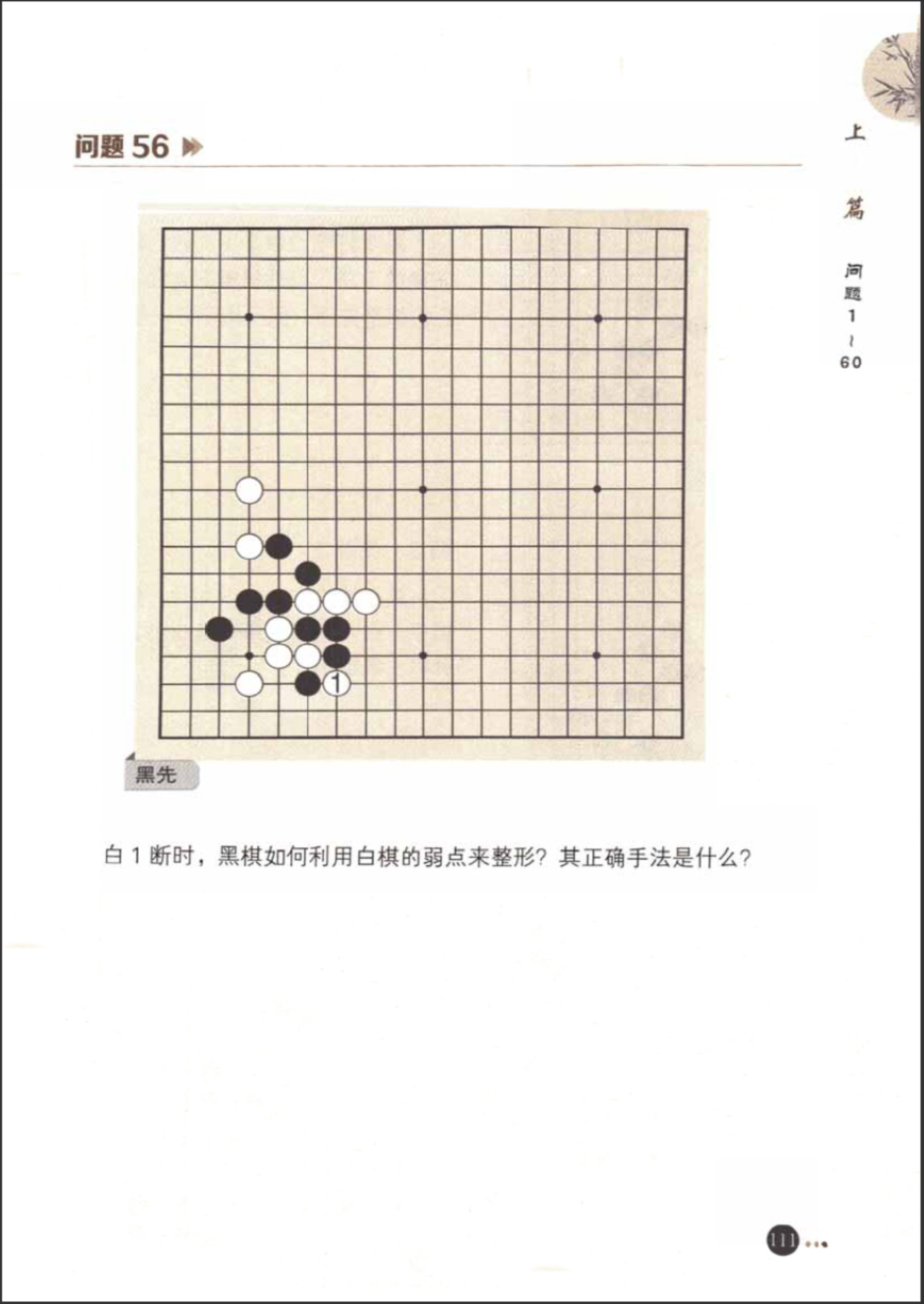 77.jpg