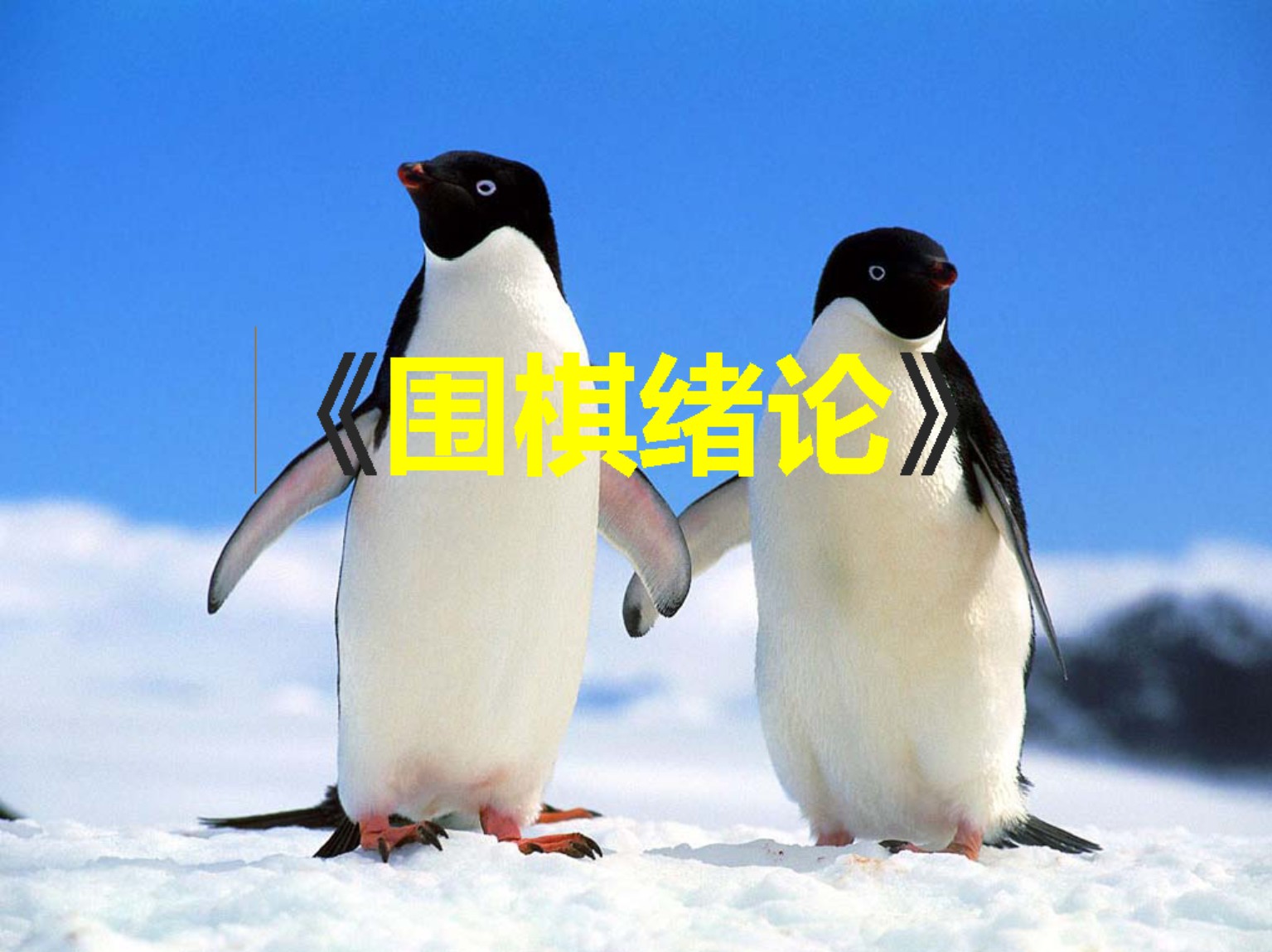 360截图20250506194418296.jpg