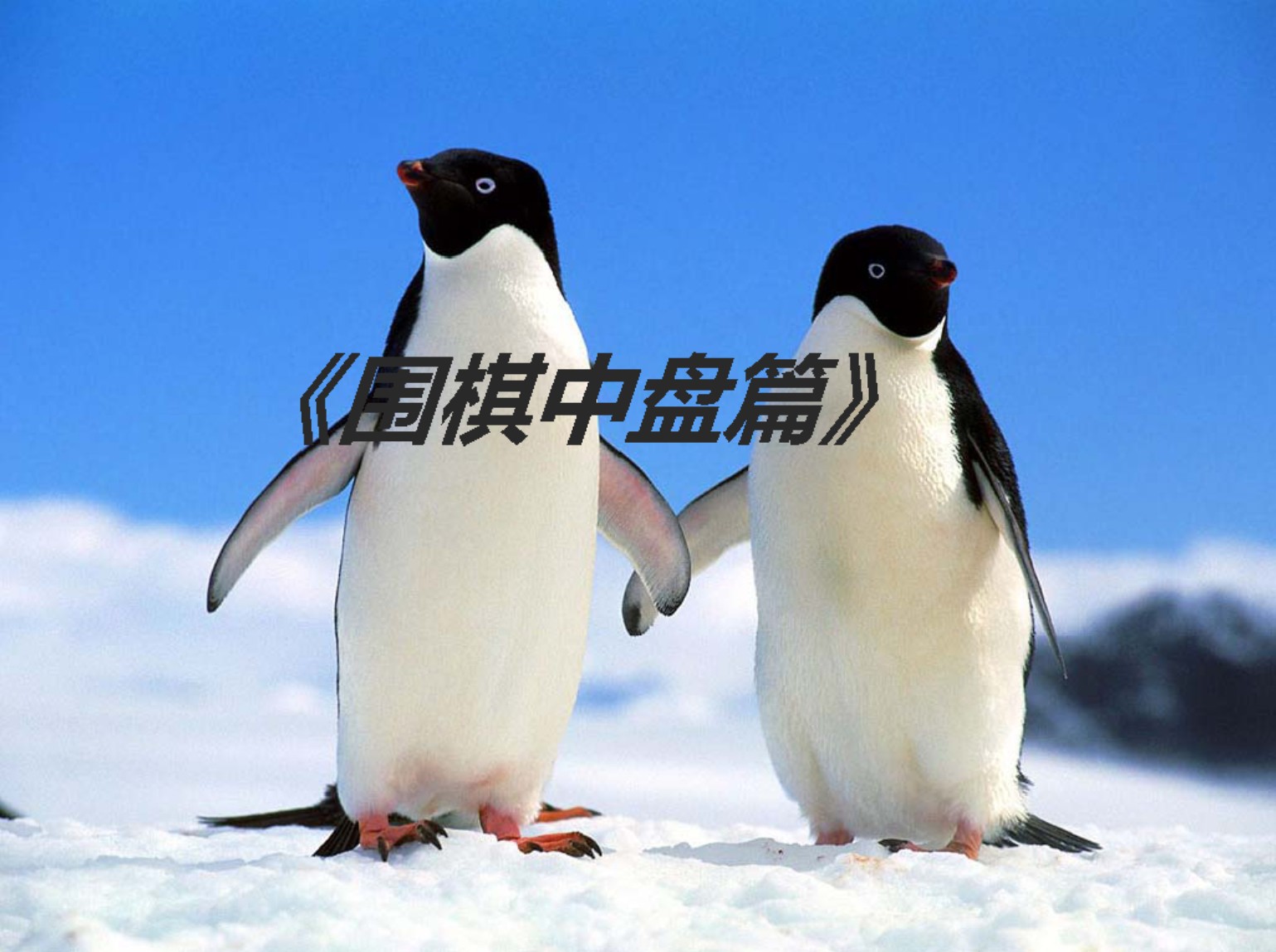 360截图20250506195521201.jpg