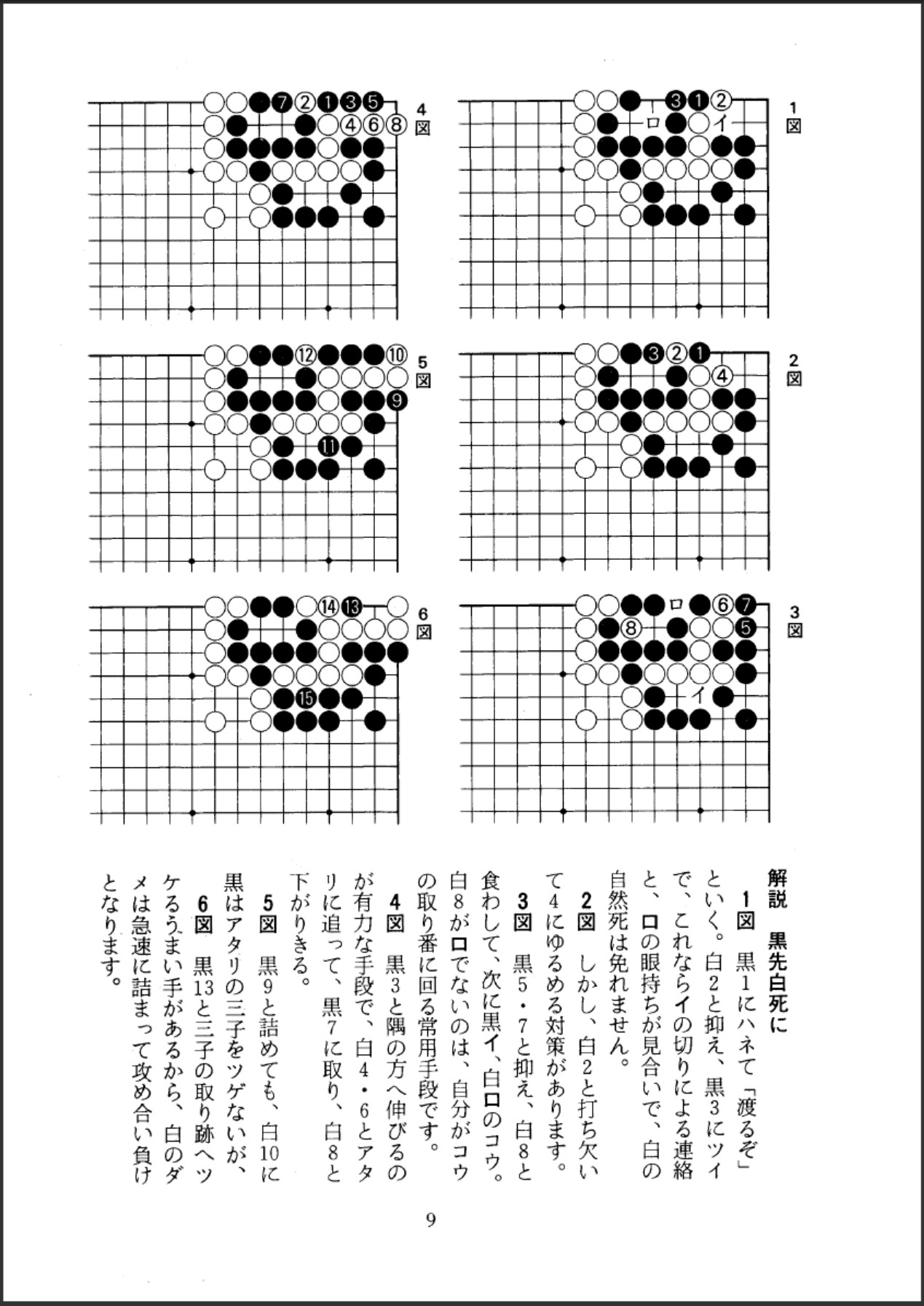 11.jpg